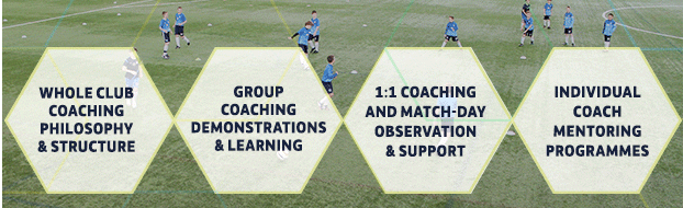 Mentoring banner